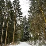 Hearts Hahnenklee * Goslar