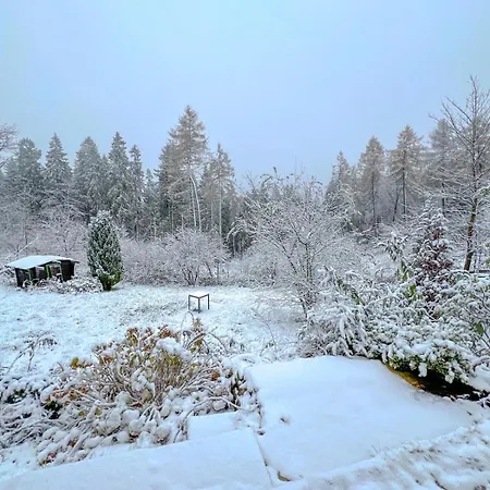 Hearts Hahnenklee Tatil Evi Goslar